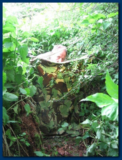 474x624 pixels (161K)